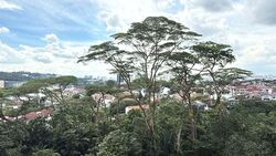 The Skywoods (D23), Condominium #608483051